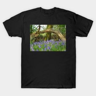 Bluebells under Deadwood T-Shirt